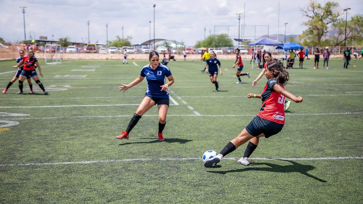 482323083_1158604562720851_4867604214407696048_n