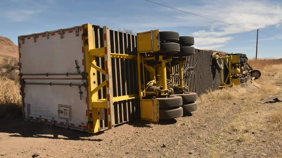 WhatsApp Image 2026-02-21 at 3.50.18 PM