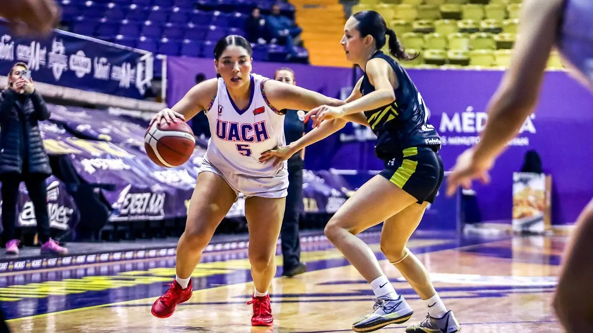 WhatsApp Image 2026-02-22 at 1.41.08 PM