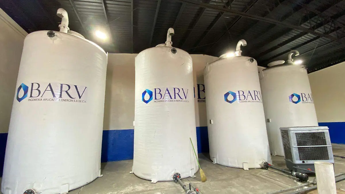 WhatsApp Image 2026-02-23 at 6.44.02 PM