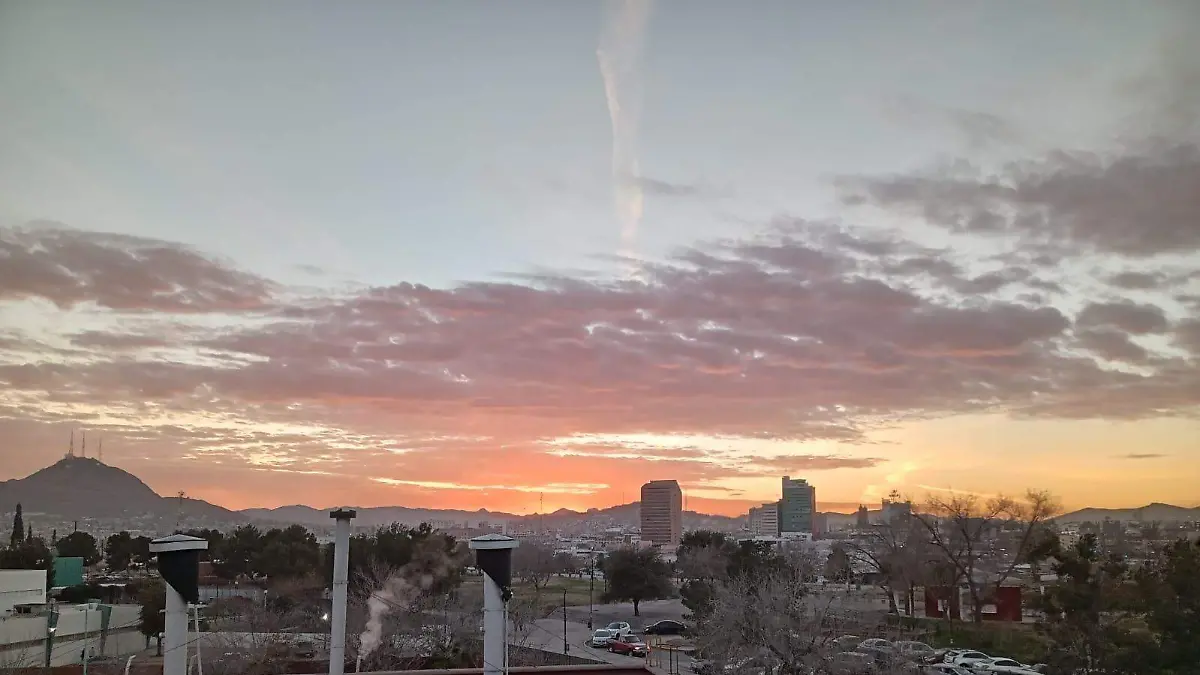 WhatsApp Image 2026-02-24 at 8.55.49 AM