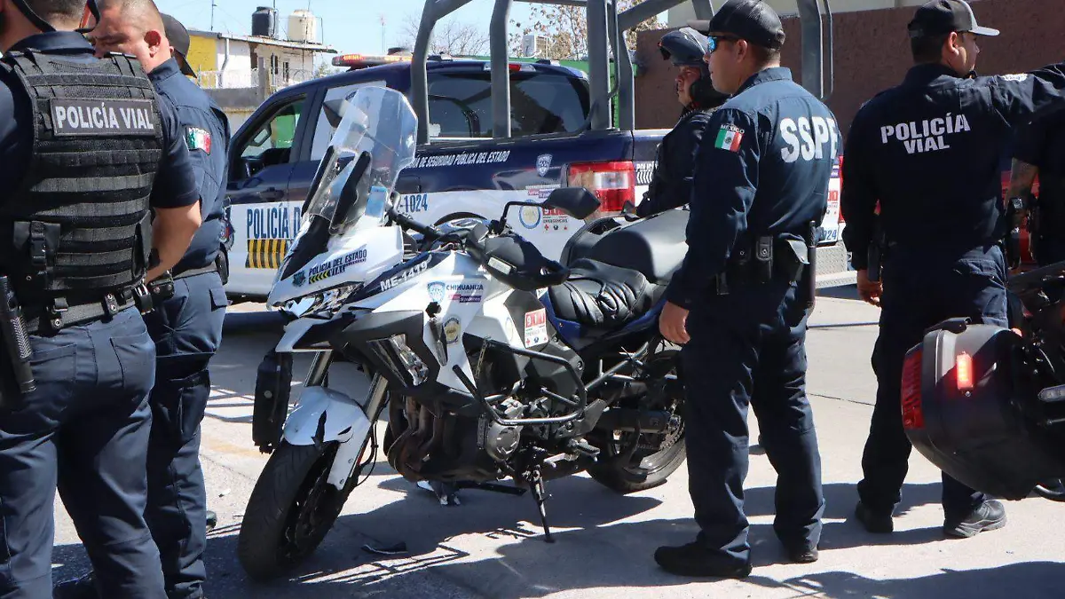 WhatsApp Image 2026-02-25 at 3.29.17 PM