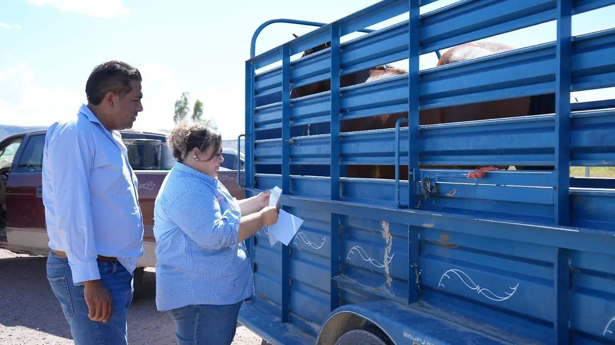 5e620bac-0739-4b55-9b8e-08abfdaa7920