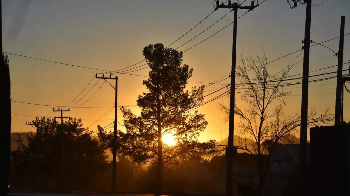 WhatsApp Image 2026-02-28 at 8.33.49 AM