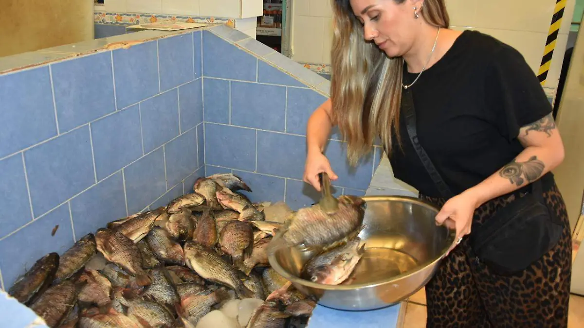 WhatsApp Image 2026-02-28 at 3.33.36 PM