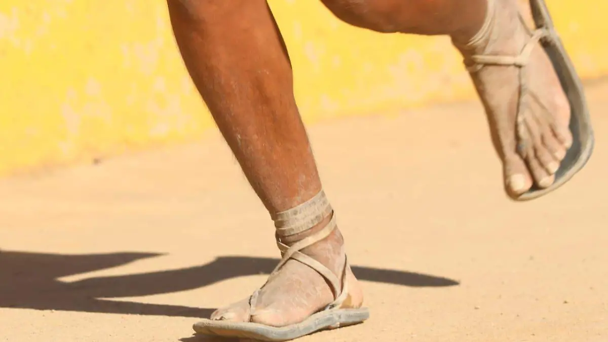 Ultra caballo blanco