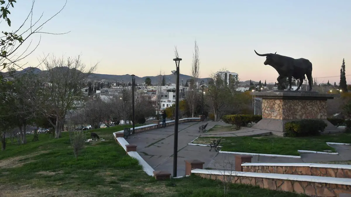 WhatsApp Image 2026-03-02 at 8.02.11 AM