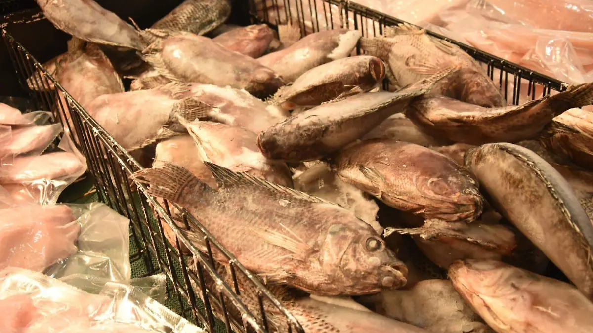 WhatsApp Image 2026-03-02 at 12.54.20 PM (1)