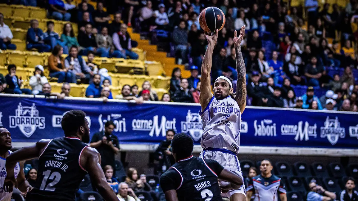 WhatsApp Image 2026-03-02 at 1.05.17 PM