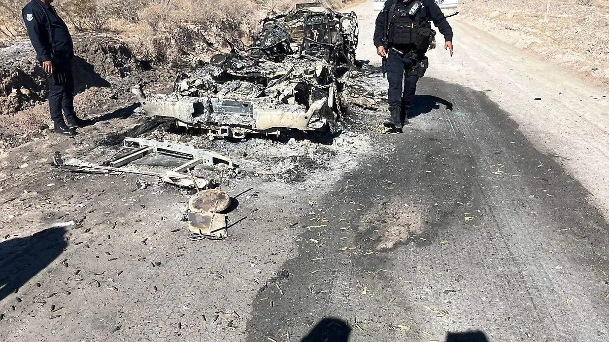 WhatsApp Image 2026-03-02 at 7.02.18 PM (3)