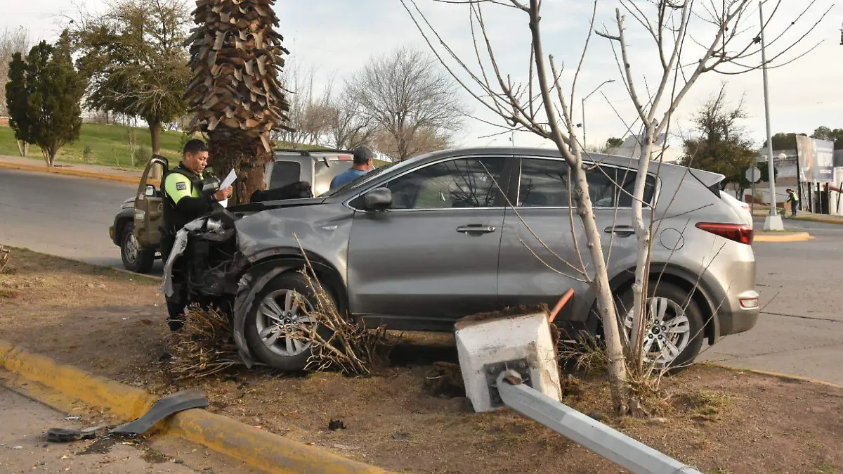 WhatsApp Image 2026-03-03 at 10.08.33 AM