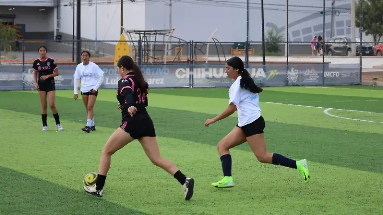 WhatsApp Image 2026-03-03 at 12.20.08 PM