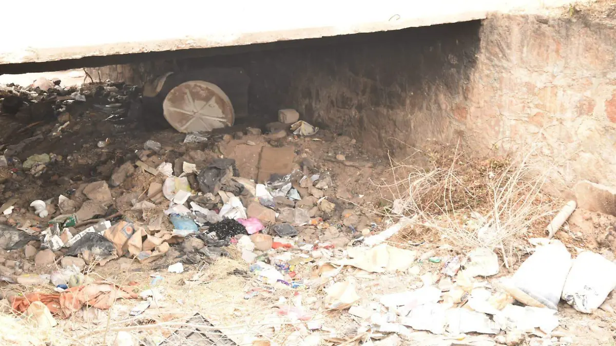 tunel con bsaura (2)