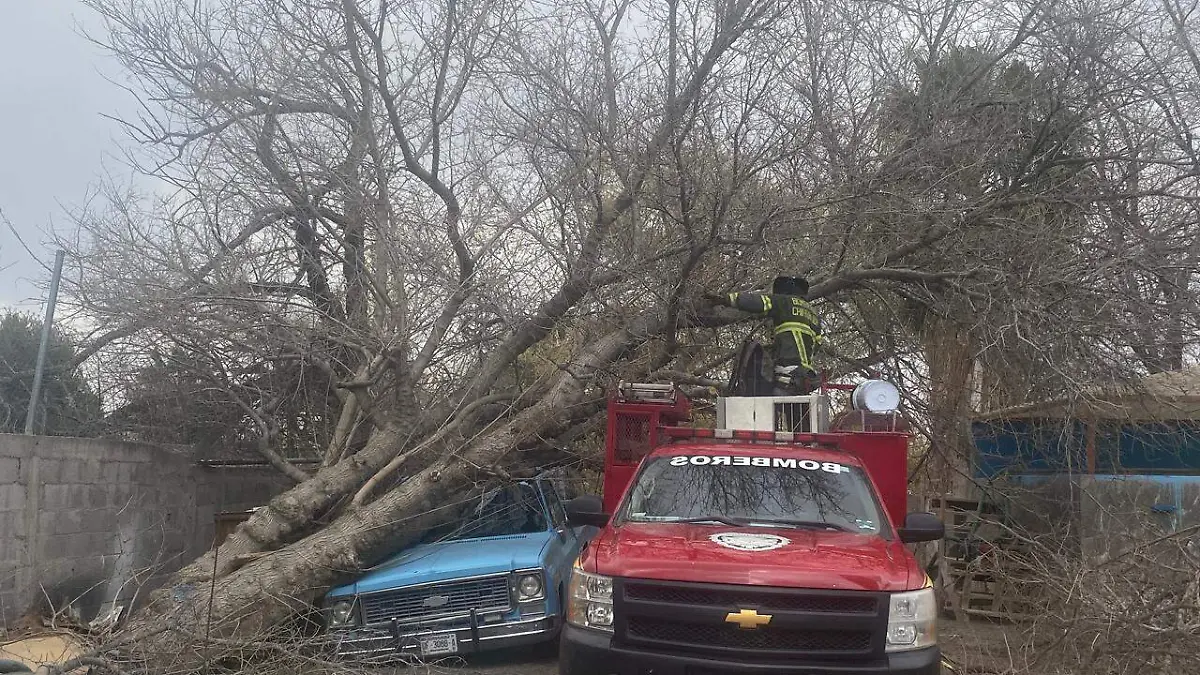 WhatsApp Image 2026-03-03 at 4.18.35 PM