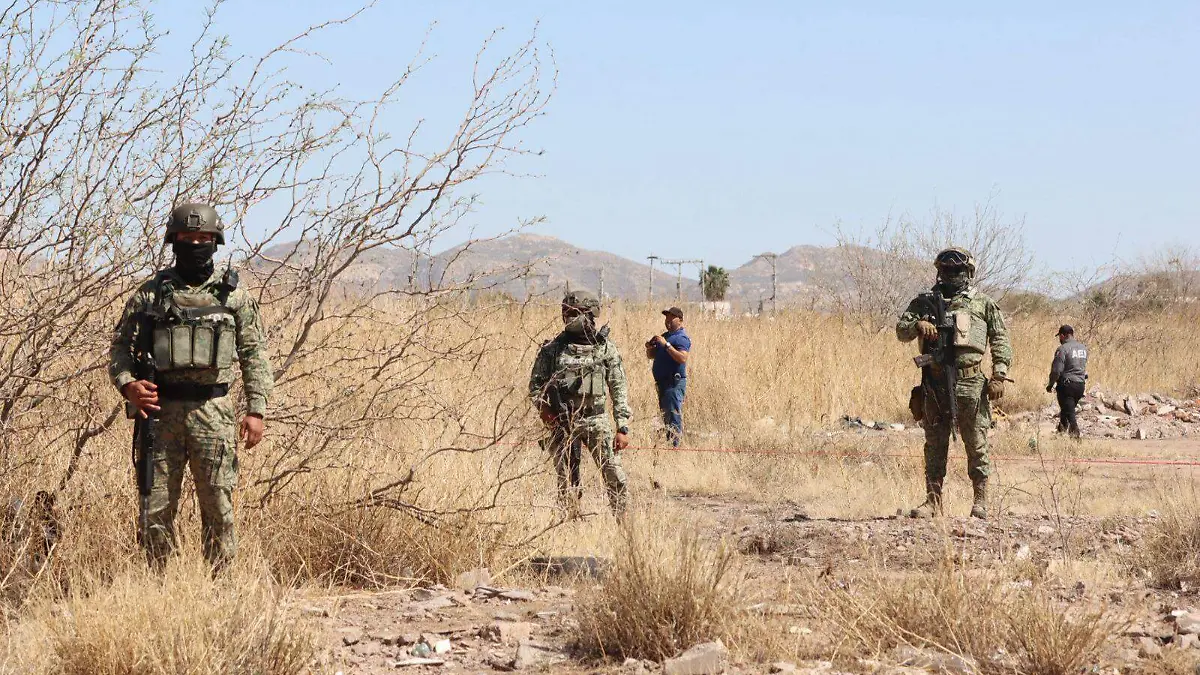 WhatsApp Image 2026-03-04 at 2.32.29 PM