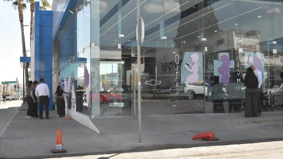 WhatsApp Image 2026-03-04 at 4.23.37 PM