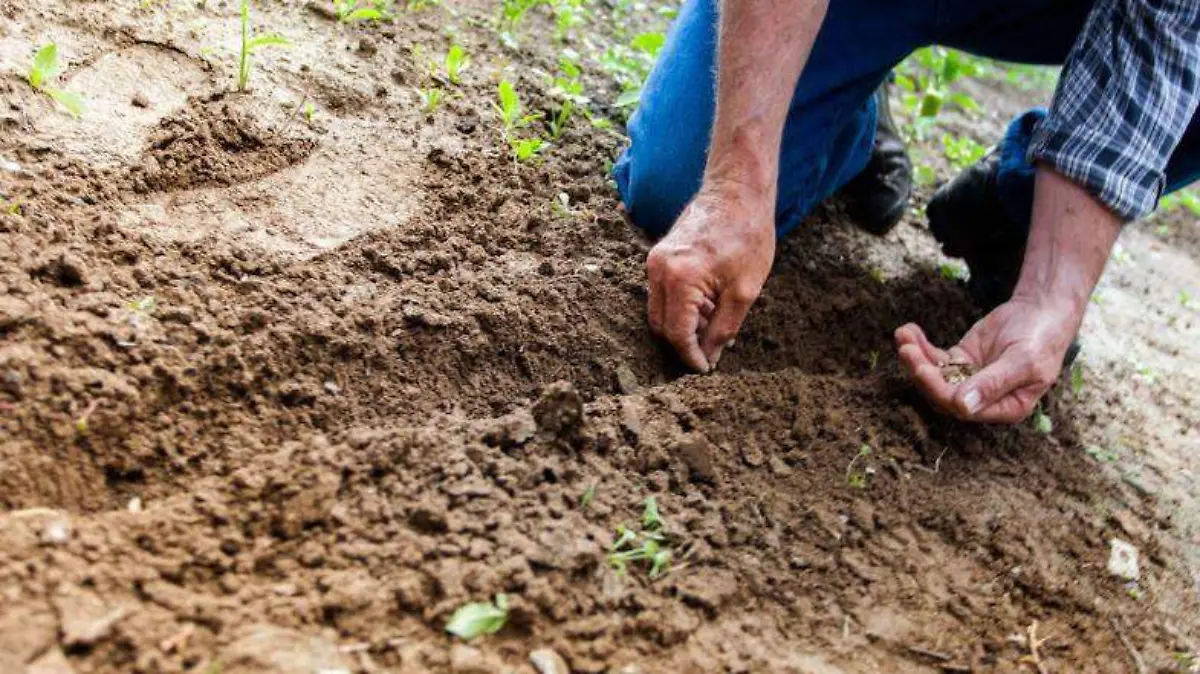 WhatsApp Image 2026-02-22 at 12.00.13 PM