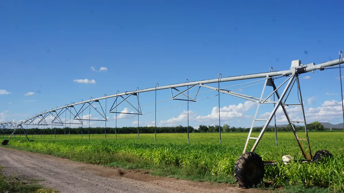 Sistema de riego por aspersión