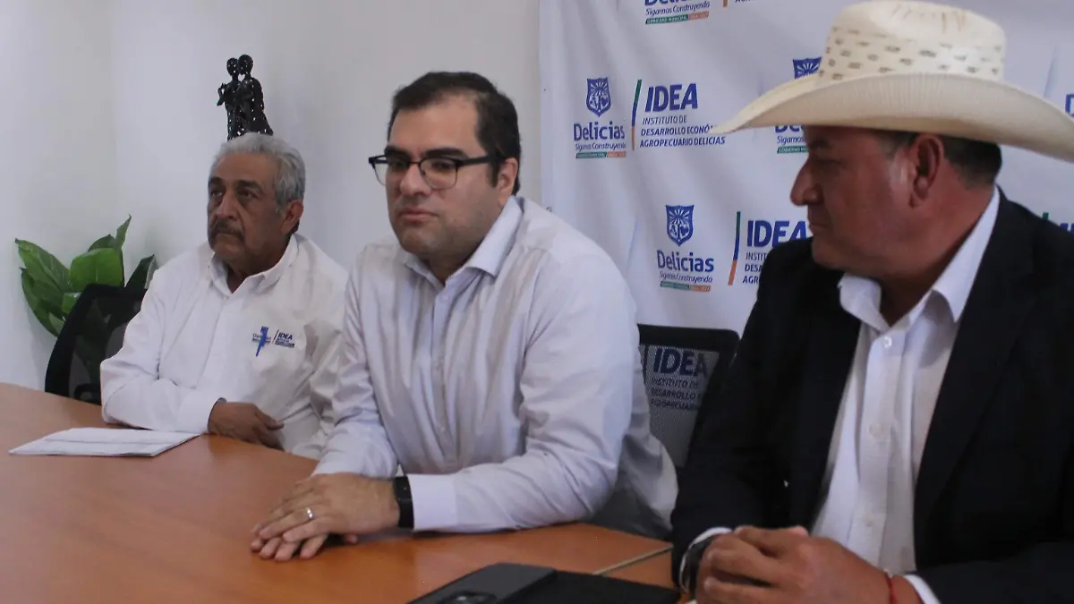 Funcionarios programa