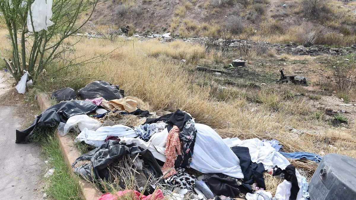 Basura a la entrafa del fraccionamiento Portal del Valle 