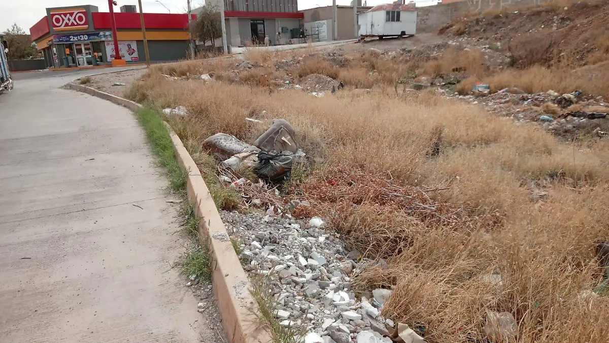 Basura a la entrada de fraccionamiento Portal del Valle 