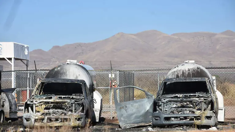 WhatsApp Image 2026-03-07 at 9.16.29 AM