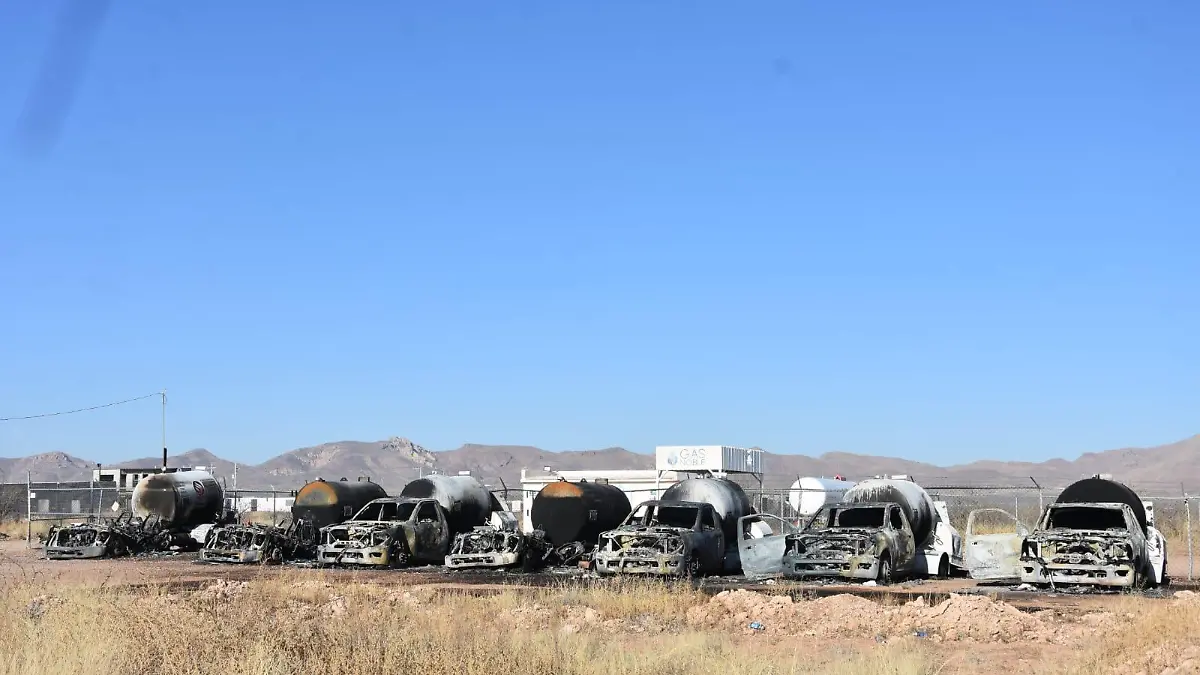 WhatsApp Image 2026-03-07 at 9.16.29 AM (2)