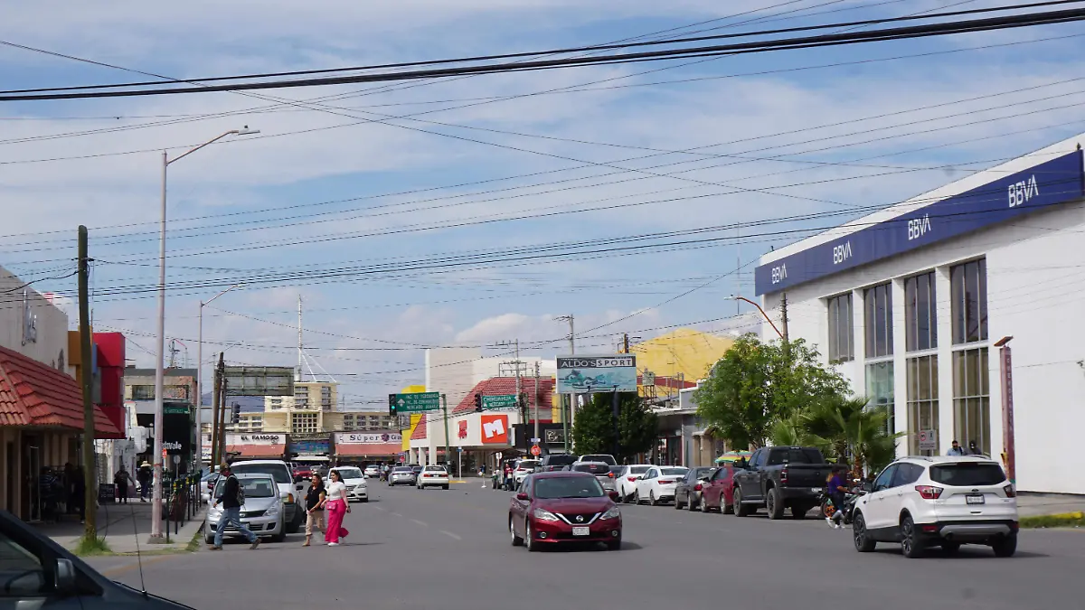 Zona comercial de Delicias