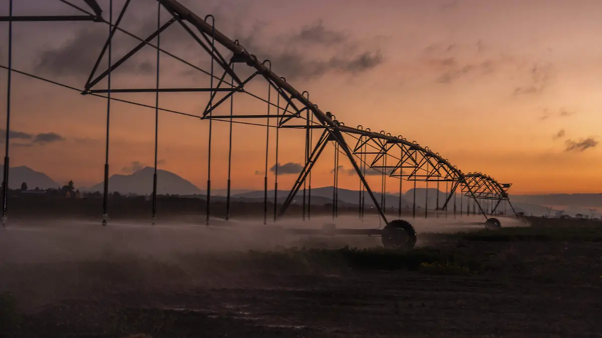 260122 AGRICULTURA PEUA-18