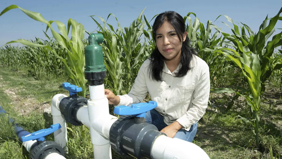 Agricultura PEUA