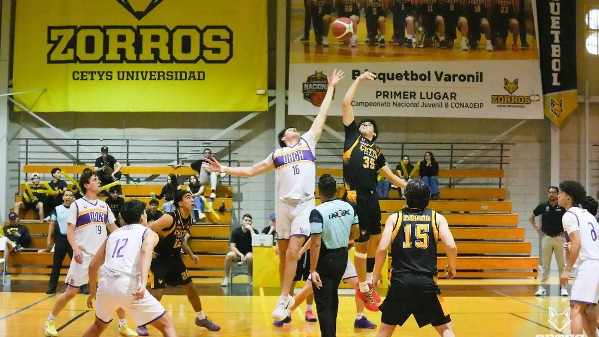 eca119d1-557c-4688-8e22-bb3de86580d0