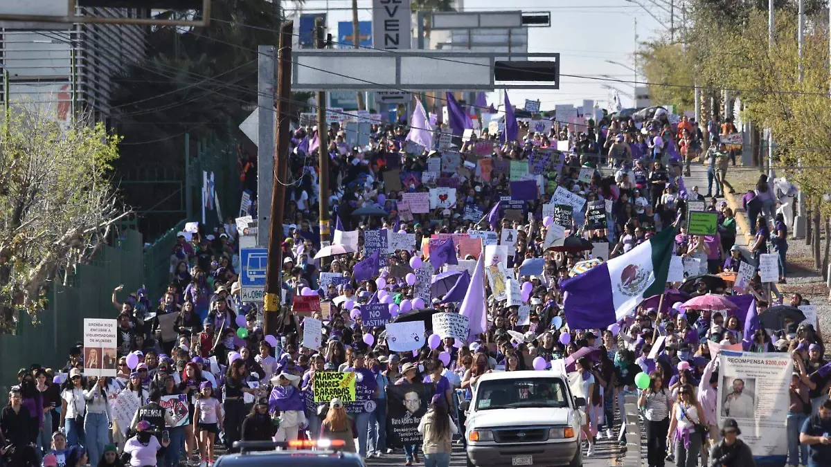 WhatsApp Image 2026-03-08 at 4.54.40 PM