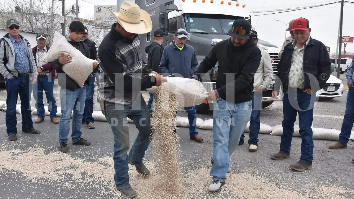 WhatsApp Image 2026-03-09 at 11.30.11 AM (2)