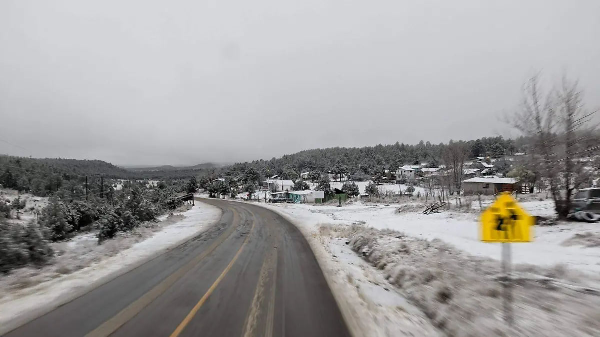 650488703_2499060980496647_6038616082266889772_n