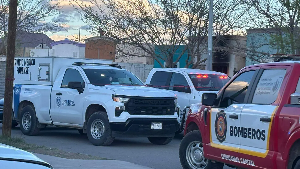 WhatsApp Image 2026-03-10 at 7.04.59 PM (1)