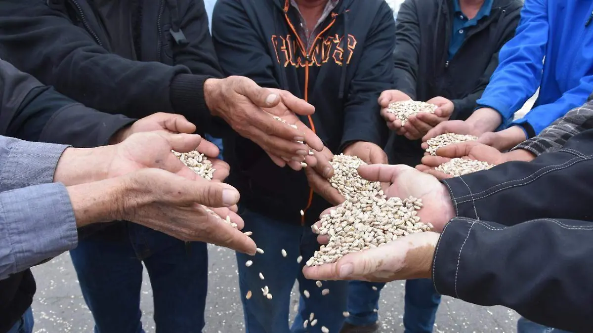 WhatsApp Image 2026-03-11 at 12.26.22 PM (3)