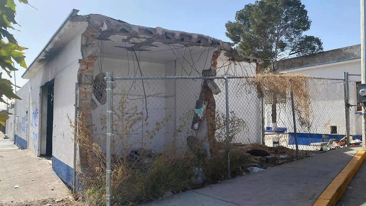 WhatsApp Image 2026-03-12 at 3.56.06 PM (1)