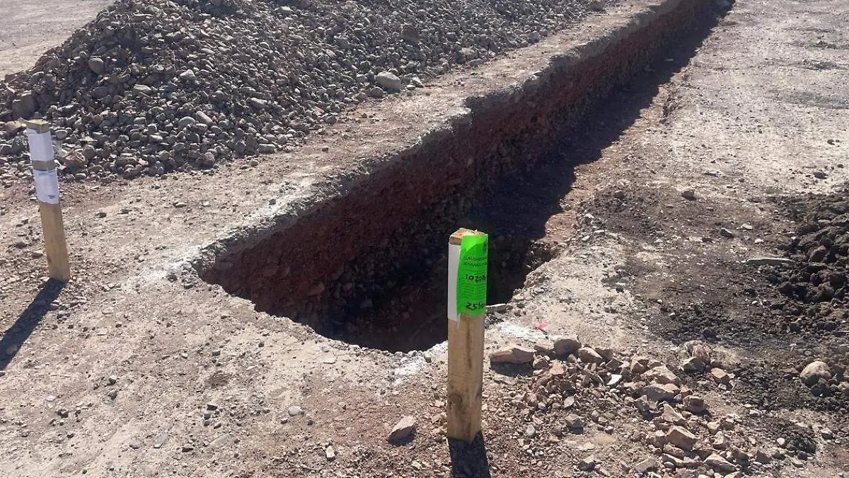 WhatsApp Image 2026-03-13 at 11.04.11 AM