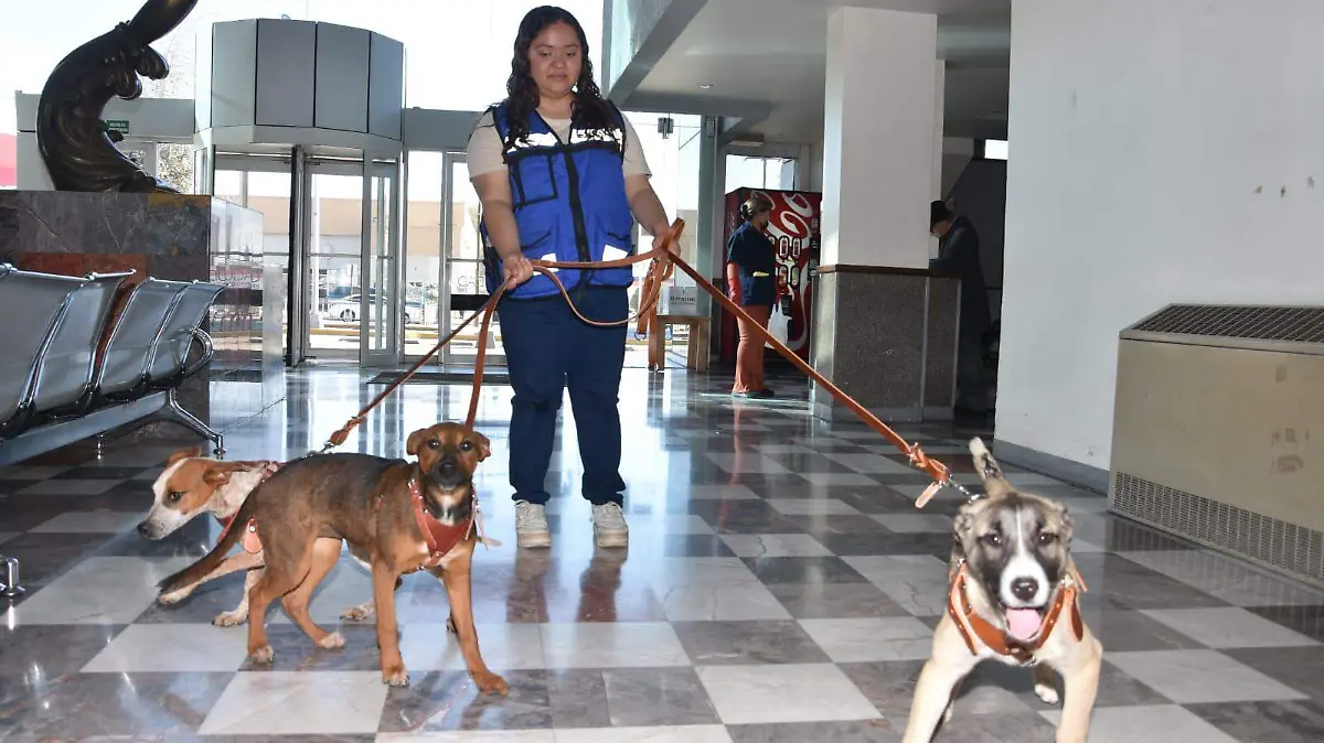 WhatsApp Image 2026-03-13 at 10.28.32 AM