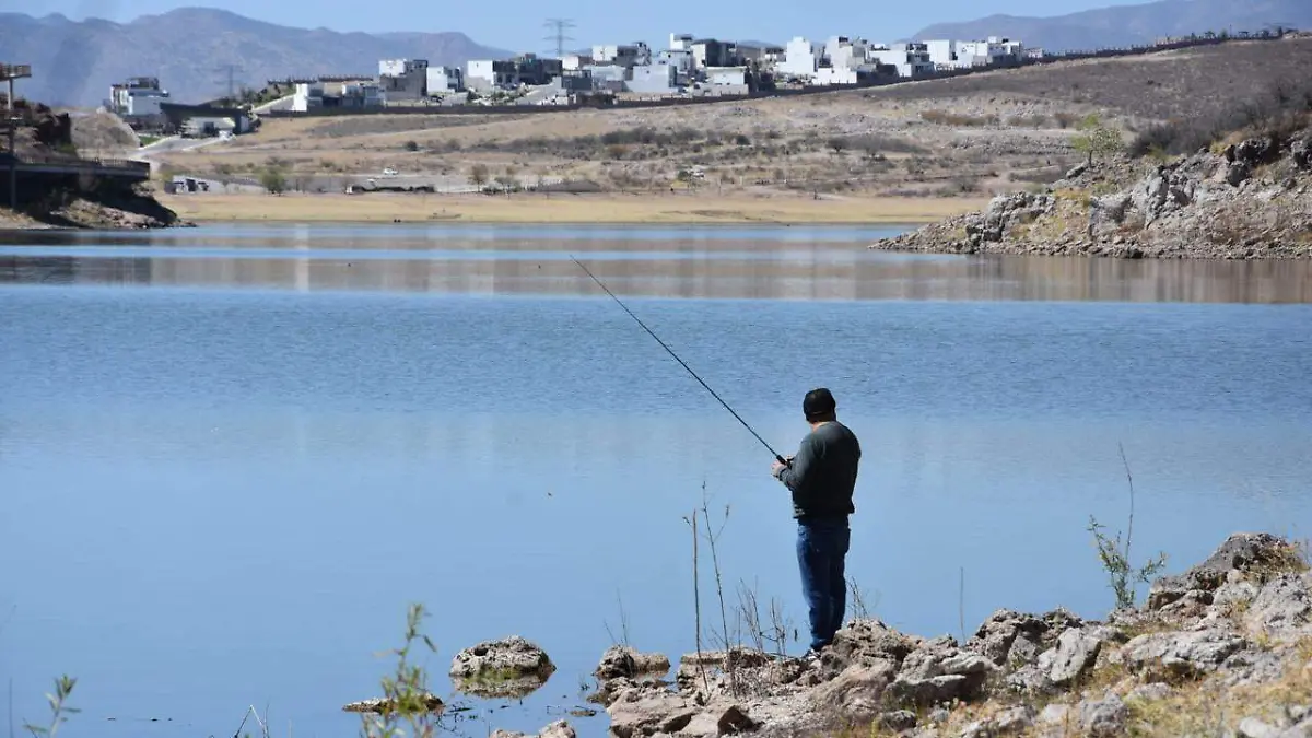 WhatsApp Image 2026-03-13 at 2.05.54 PM