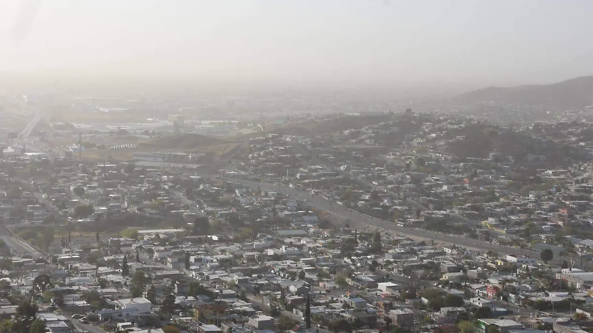 WhatsApp Image 2026-03-16 at 8.50.53 AM