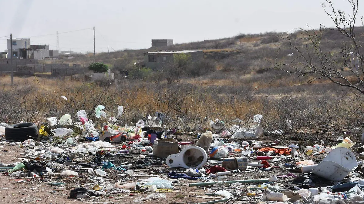 WhatsApp Image 2026-03-16 at 12.03.29 PM