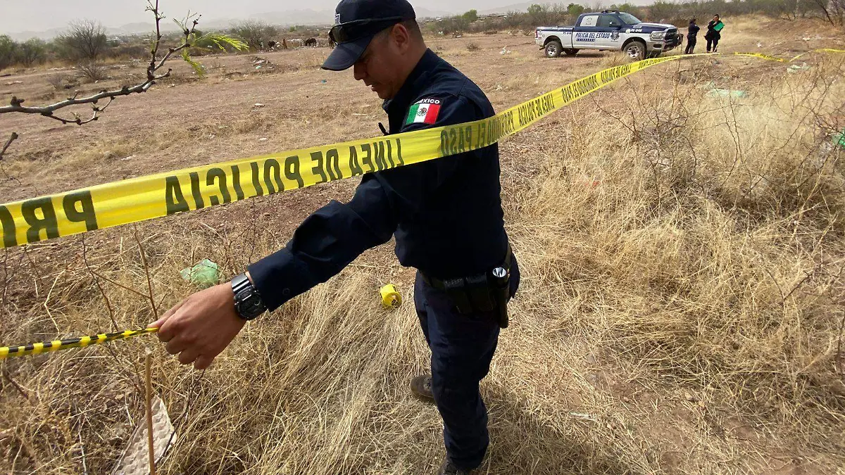 WhatsApp Image 2026-03-16 at 3.26.02 PM