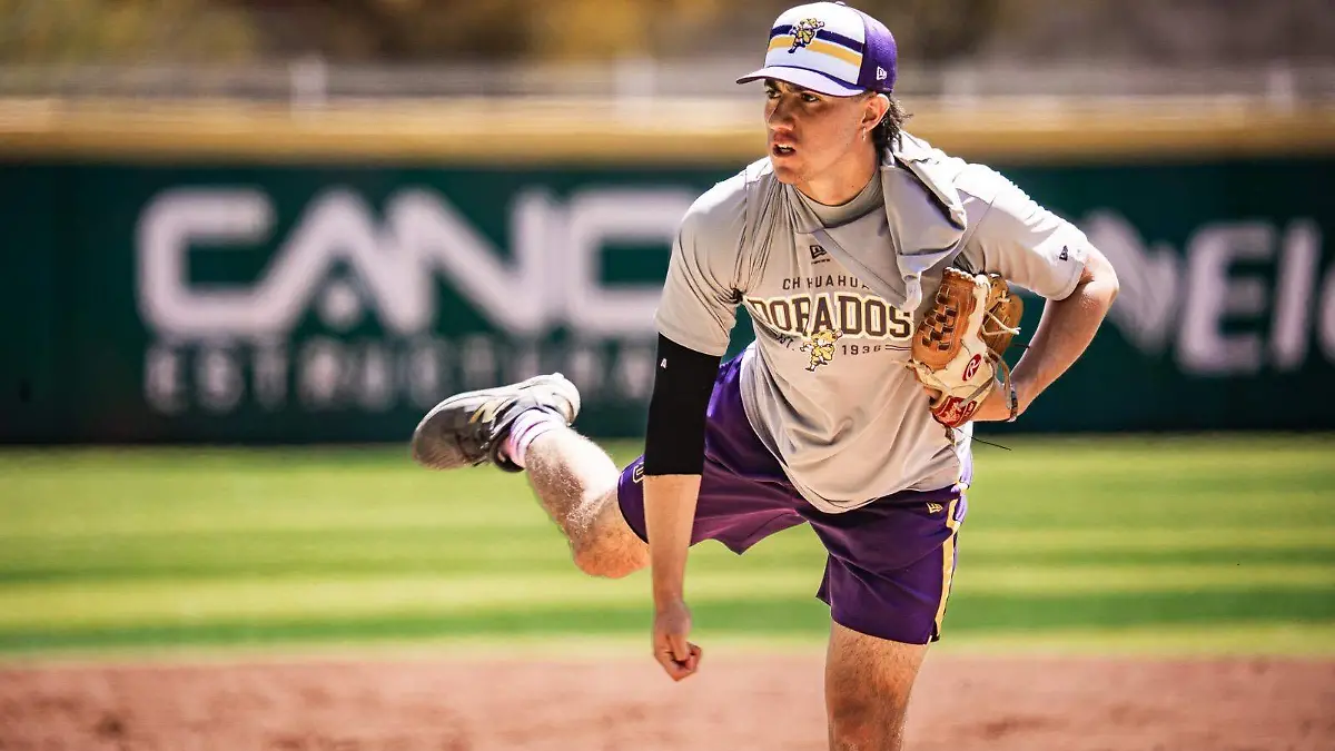 d0cb0de2-41a4-4c9a-8876-07269daa4ebc