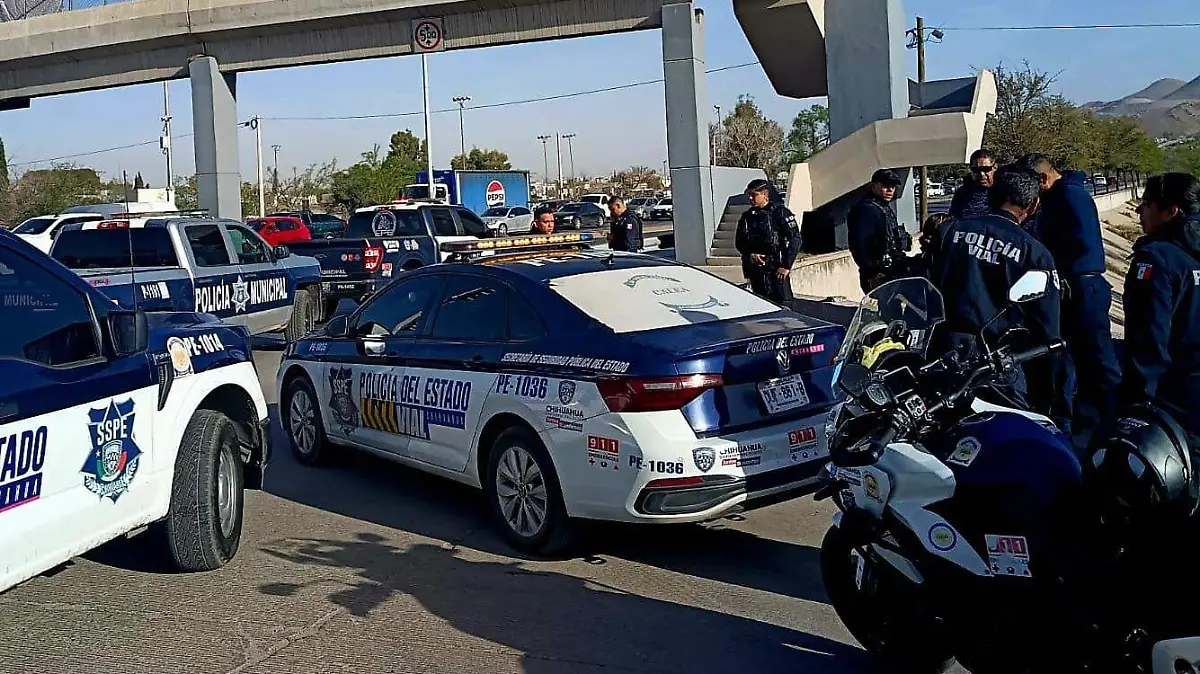 WhatsApp Image 2026-03-17 at 6.17.09 PM