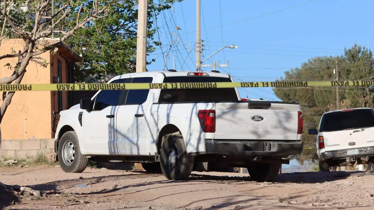 WhatsApp Image 2026-03-19 at 8.33.20 AM