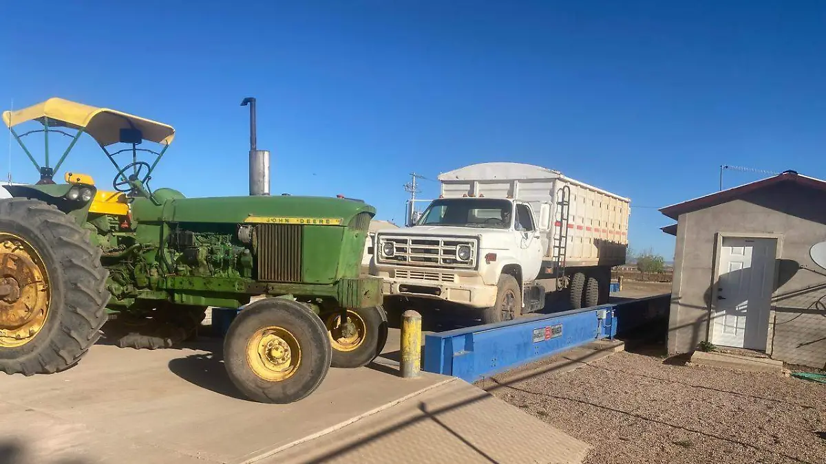 WhatsApp Image 2026-03-19 at 9.06.47 AM