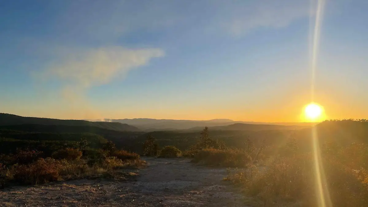 WhatsApp Image 2026-03-19 at 10.36.47 AM