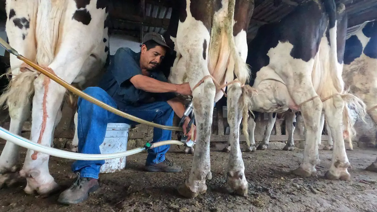 leche