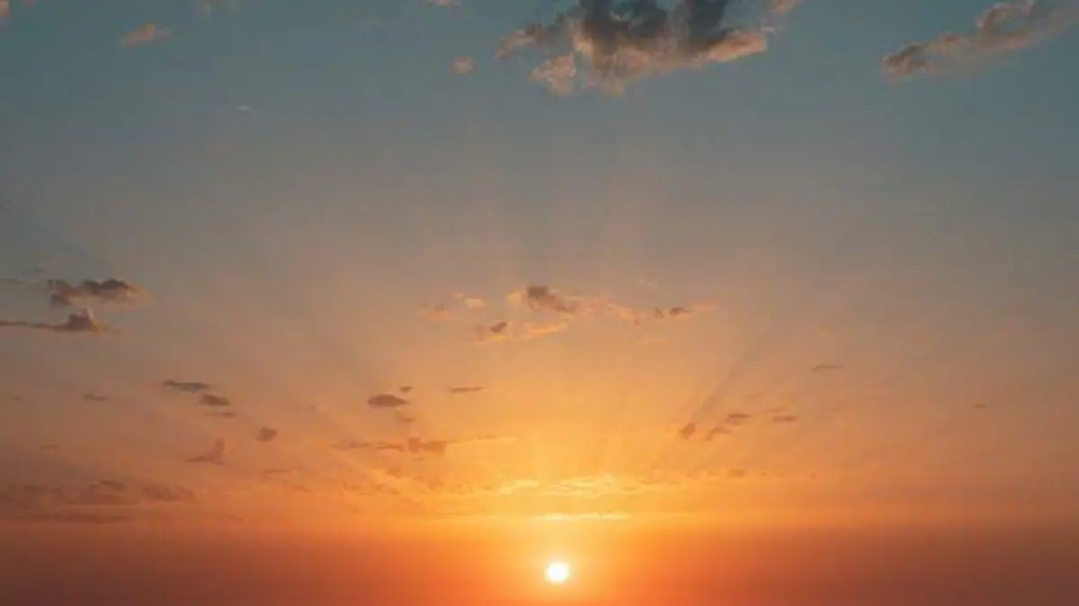 pexels-ofir-eliav-2397652-4571242